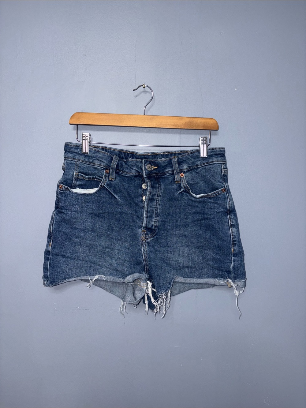 Old Navy | Jean Shorts | Size 10